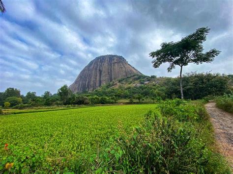 Conquer the Scenic Summit: Your Ultimate Guide to Trekking Handi Gundi Betta