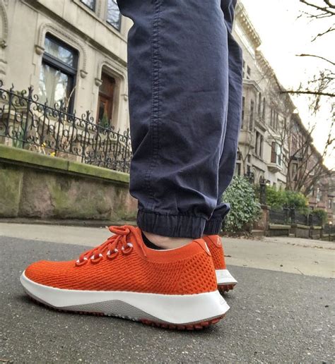 Conquer the Urban Jungle with the Allbirds Tree Dasher 2: A Comprehensive Guide