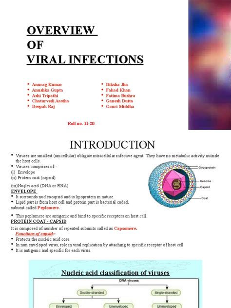 Conquering the Viral Scourge: A Comprehensive Guide to Virus Prevention and Treatment