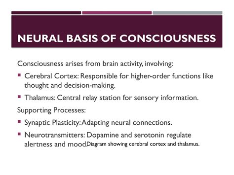 Consciousness And Behavior Kindle Editon