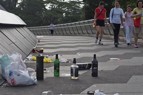 Consequences of Littering in Singapore