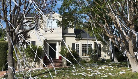 Consequences of TPing a House