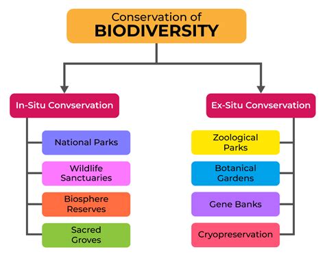 Conservation: