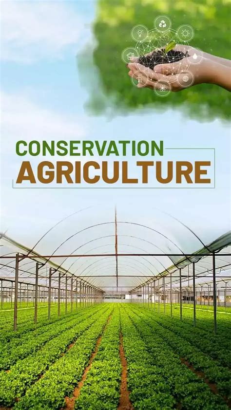 Conservation Agriculture Technology Doc