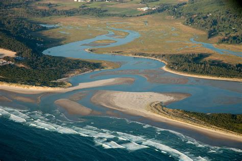 Conservation of Tidal Marshes Reader