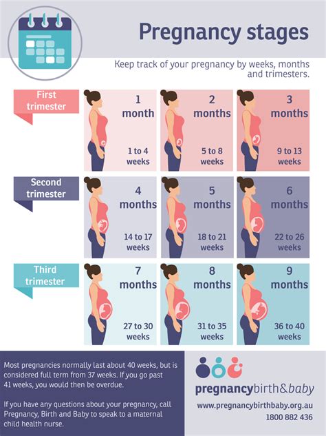 Consider Your Stage of Pregnancy: