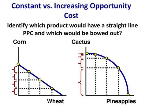 Constant Opportunity Cost Graph: Demystifying the Consequences of Choice