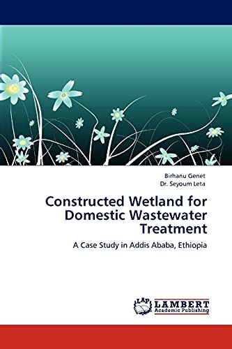 Constructed Wetland for Domestic Wastewater Treatment A Case Study in Addis Ababa Kindle Editon