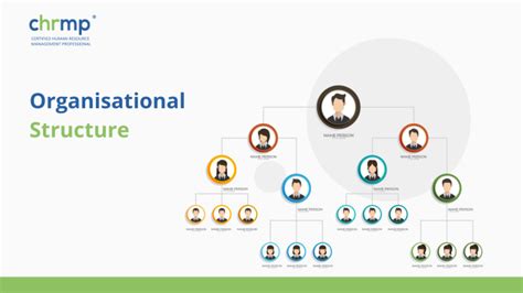 Construction Company Organizational Chart: A Comprehensive Guide to Structures and Roles