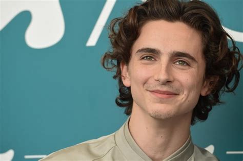 Content Overview: A Window into Chalamet's World