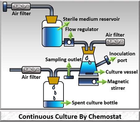 Continuous Culture Epub