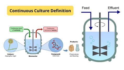 Continuous Culture, Vol. 41 Epub