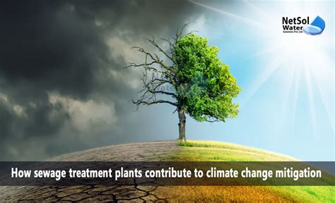 Contribute to Climate Change Mitigation: