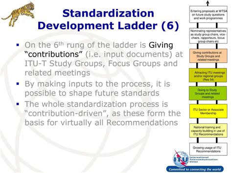 Contributions to Standardization