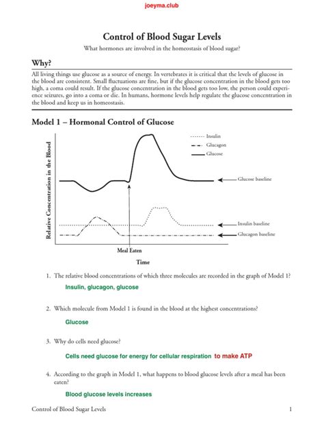 Control Of Blood Sugar Levels POGIL Ebook AP-Bio-at Doc