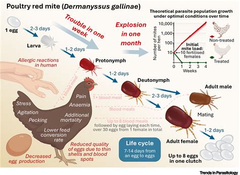 Control of Poultry Mites (Dermanyssus) Reader