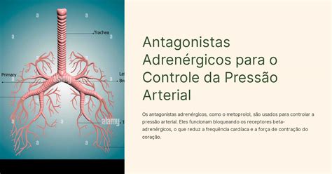 Controle da Pressão Alta: Aprenda sobre Antagonistas Beta-Adrenérgicos
