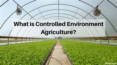 Controlled Environment Agriculture (CEA):