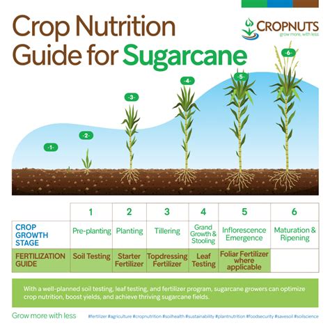 Controlled Fertilizer Production Line: Tailoring Nutrition for Optimal Crop Growth