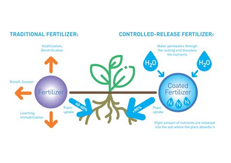 Controlled Release Fertilizers: