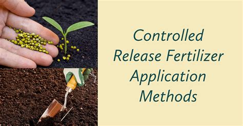 Controlled Release Fertilizers (CRFs)