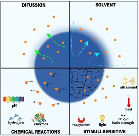 Controlled Release Mechanisms: