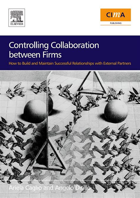 Controlling Collaboration between Firms How to build and Maintain Successful Relationships with Ext Epub