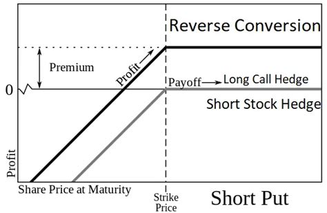 Conversion Option