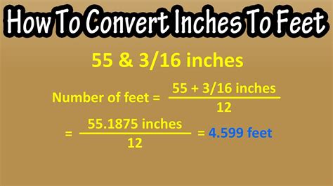 Convert Feet to Inches: The Definitive Guide