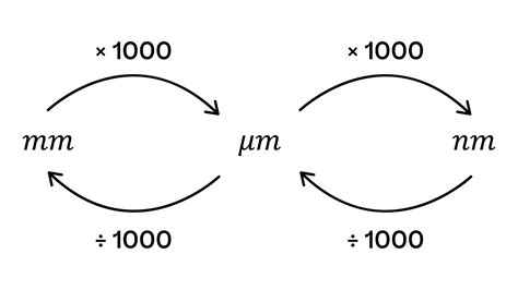 Convert Microscopic Measurements to Everyday Scales