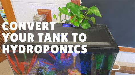 Converting Aquarium Water into Plant Food