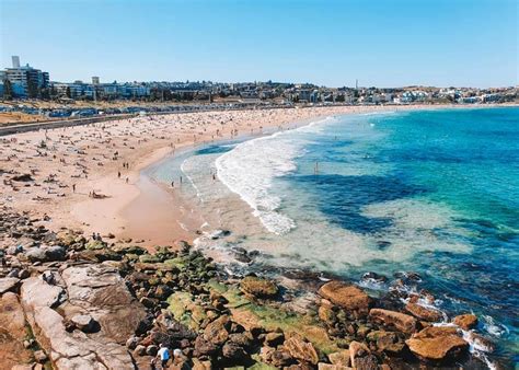 Coogee Beach: Your Guide to the Ultimate Bondi Alternative