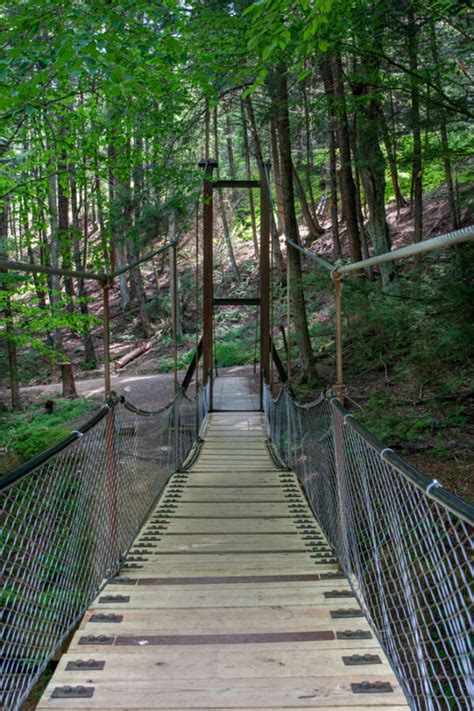 Cook Forest State Park: