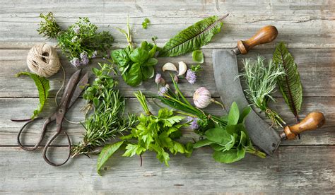 Cooking With Herbs Reader