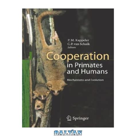 Cooperation in Primates and Humans Mechanisms and Evolution 1st Edition Epub