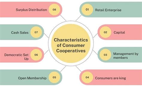 Cooperative Values in Consumer Stores An Assessment of Management Epub