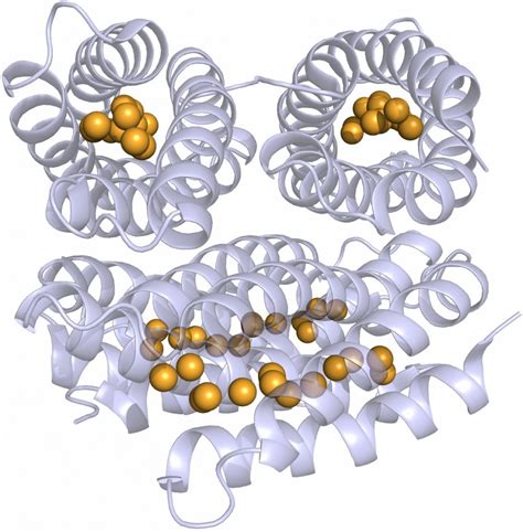 Copper Proteins &amp Doc