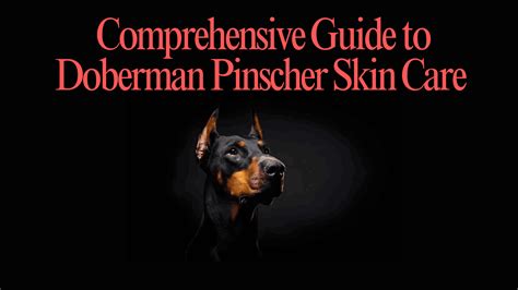 Cora Doberman Studio: A Comprehensive Guide to Enhance Your Dog's Life