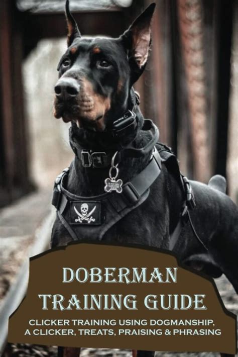 Cora Doberman Studio: A Comprehensive Guide to Training Your Doberman Pinscher