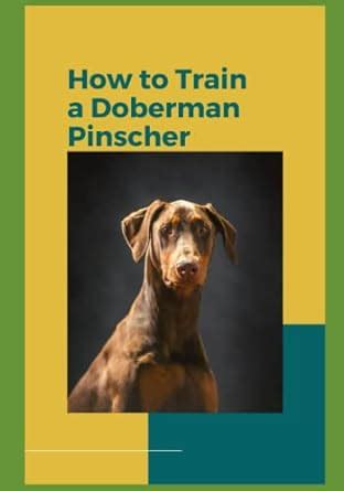 Cora Doberman Studio: A Comprehensive Guide to Training Your Trusted Companion