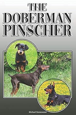 Cora Doberman Studio: A Comprehensive Guide to Training and Caring for Your Doberman Pinscher