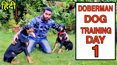 Cora Doberman Studio: A Comprehensive Guide to the Leading Dog Training Facility