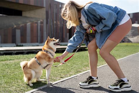 Cora Doberman Studio: The Ultimate Guide to Dog Training and Behavior Modification