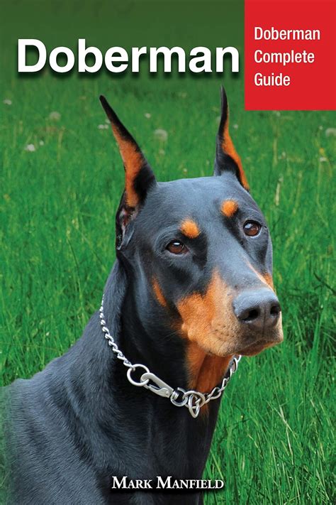 Cora Doberman Studio: Your Comprehensive Guide to a Successful Doberman Partnership