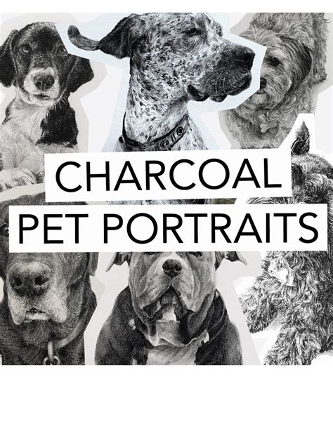 Cora Doberman Studio: Your Ultimate Guide to Custom Dog Portraits