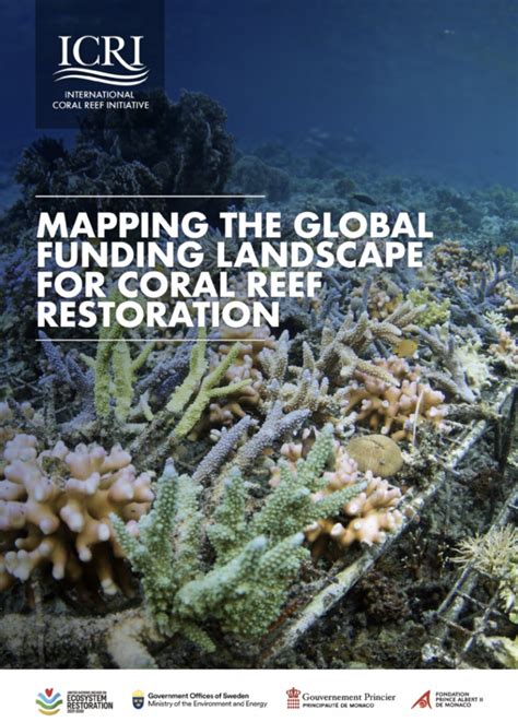 Coral Log: A Revolution in Reef Research and Management