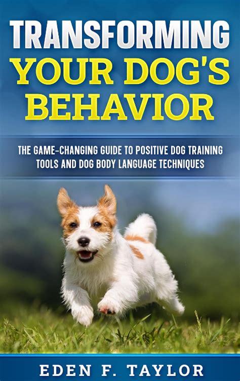 Coralba: The Revolutionary Tool Transforming the Dog Training Industry