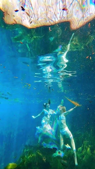 Coralia Dives OnlyFans: Unveil the Enchanting Gateway to Underwater Delights