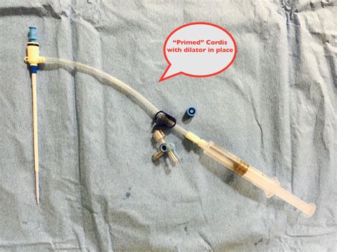 Cordis Guide Catheter Catalog