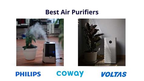 Cordless Air Purifiers: The Ultimate Guide to Breathing Cleaner, Healthier Air